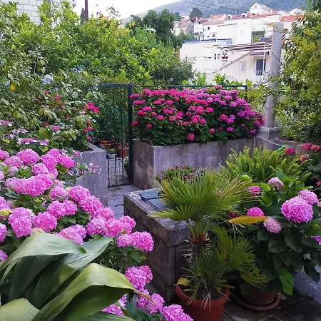 Apartments Sensa Dubrovnik Exterior photo