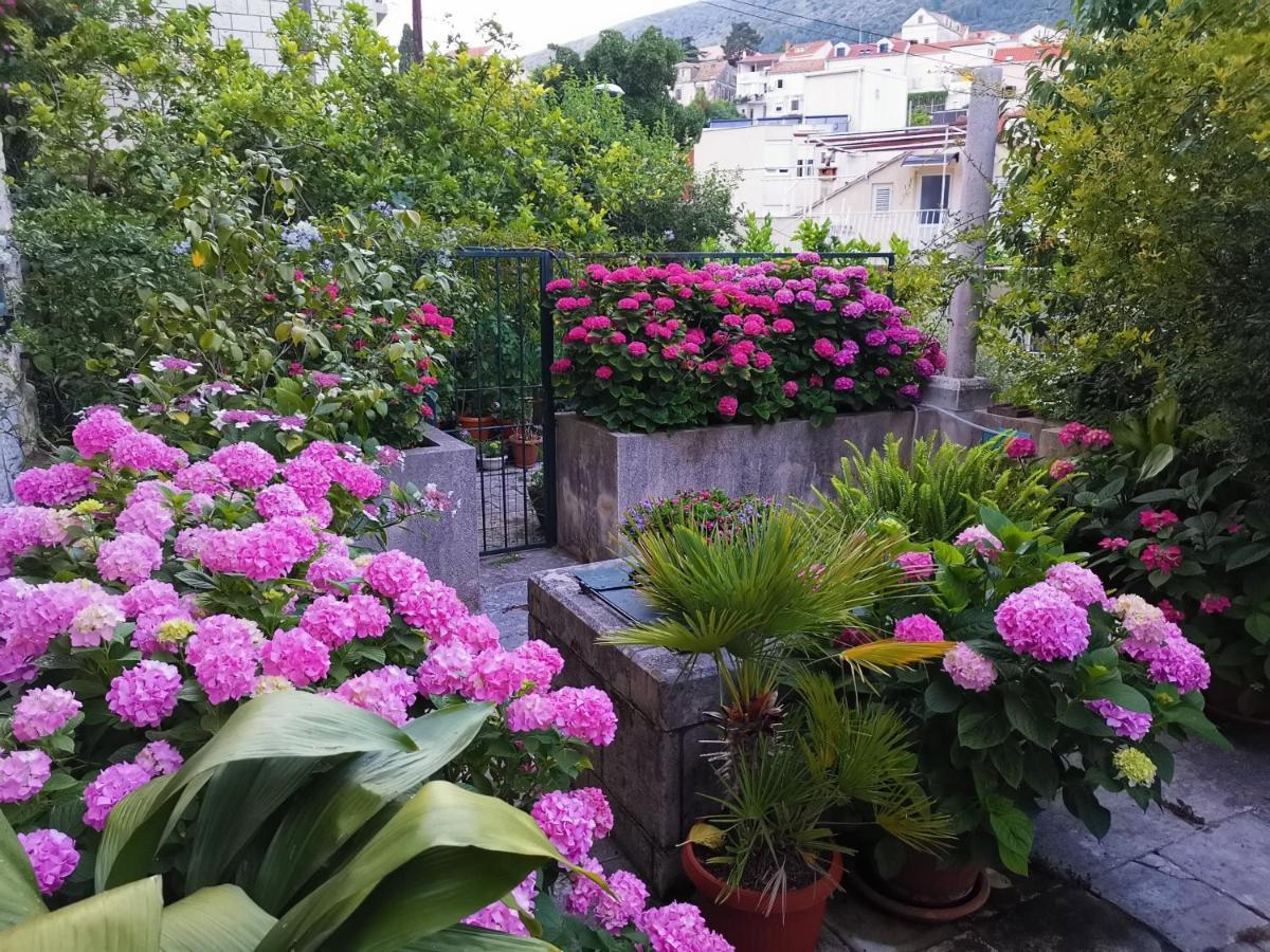Sensa * Dubrovnik
