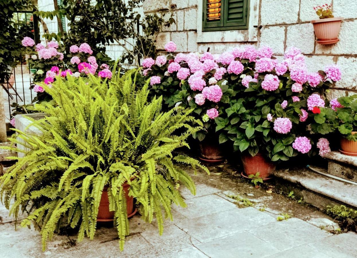 Sensa Dubrovnik